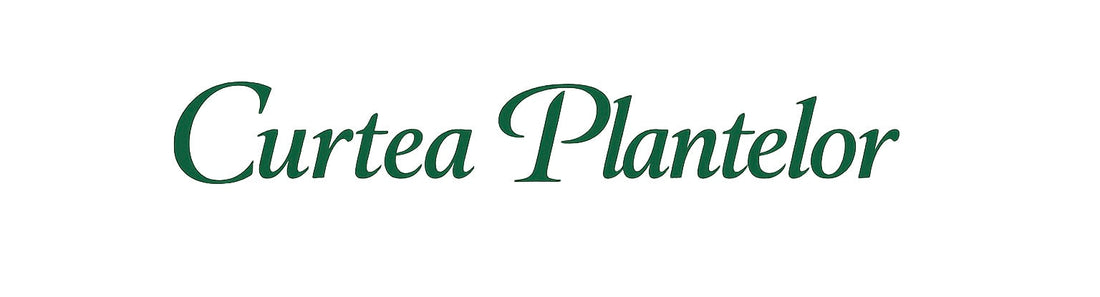 Greseli frecvente la plantarea plantelor de gradina