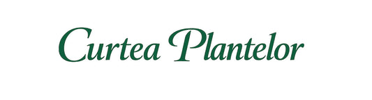 Greseli frecvente la plantarea plantelor de gradina