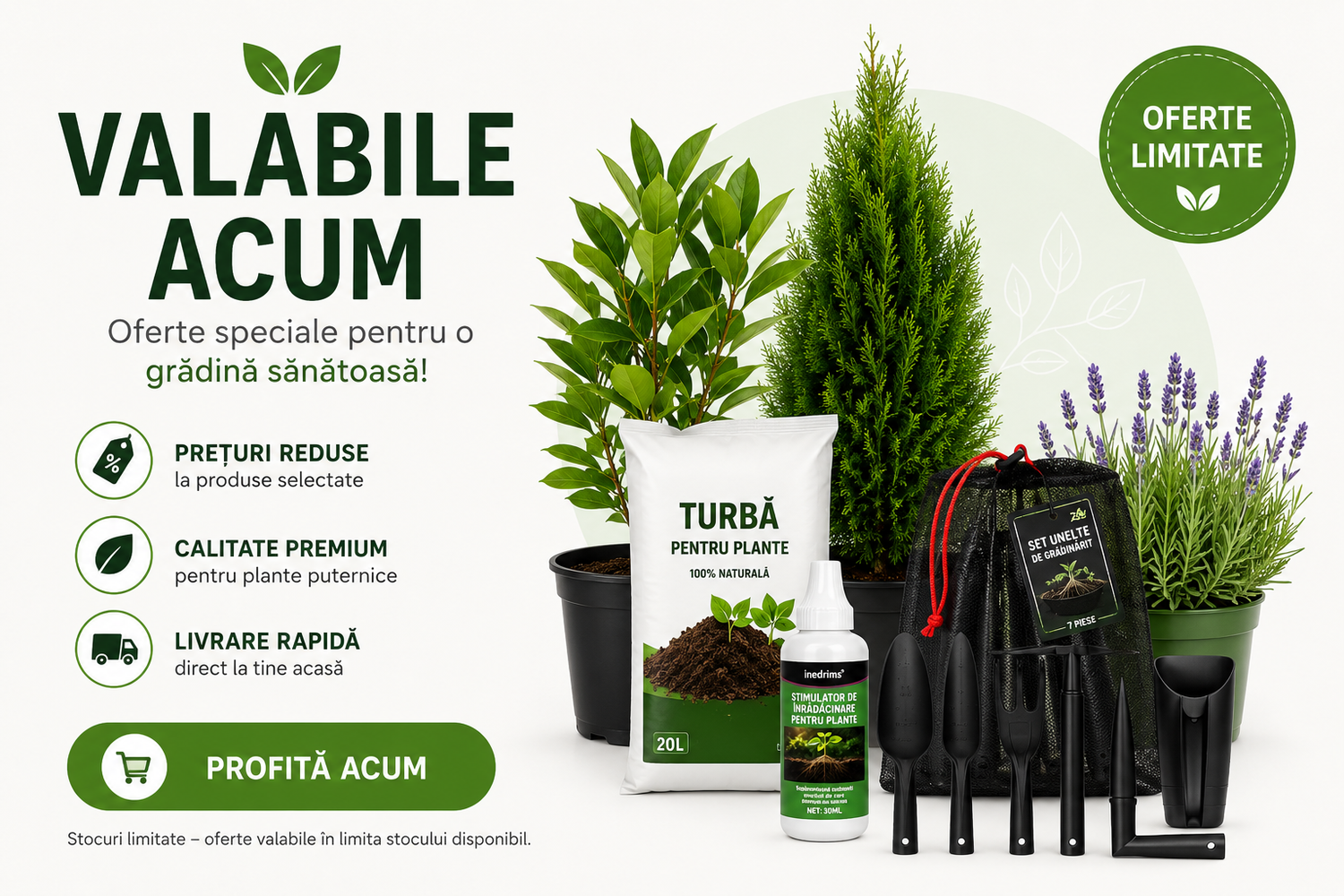 Valabile Acum