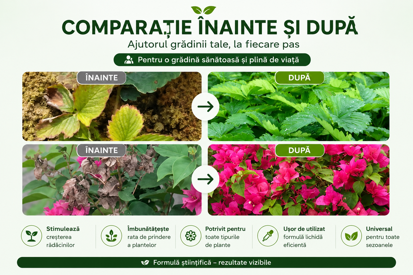 Stimulator de Înrădăcinare pentru Plante – 30 ml